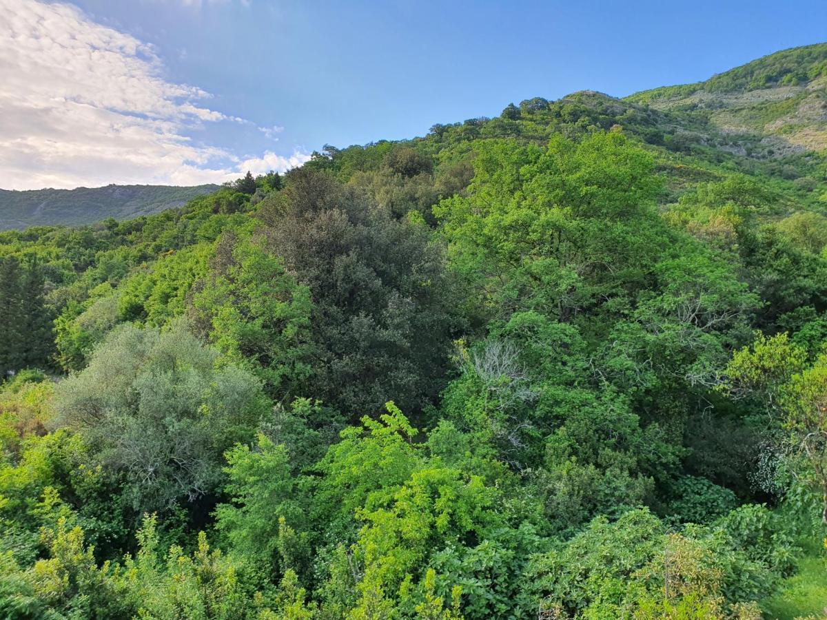 Apartment Bijelavista Herceg Novi Ruang foto