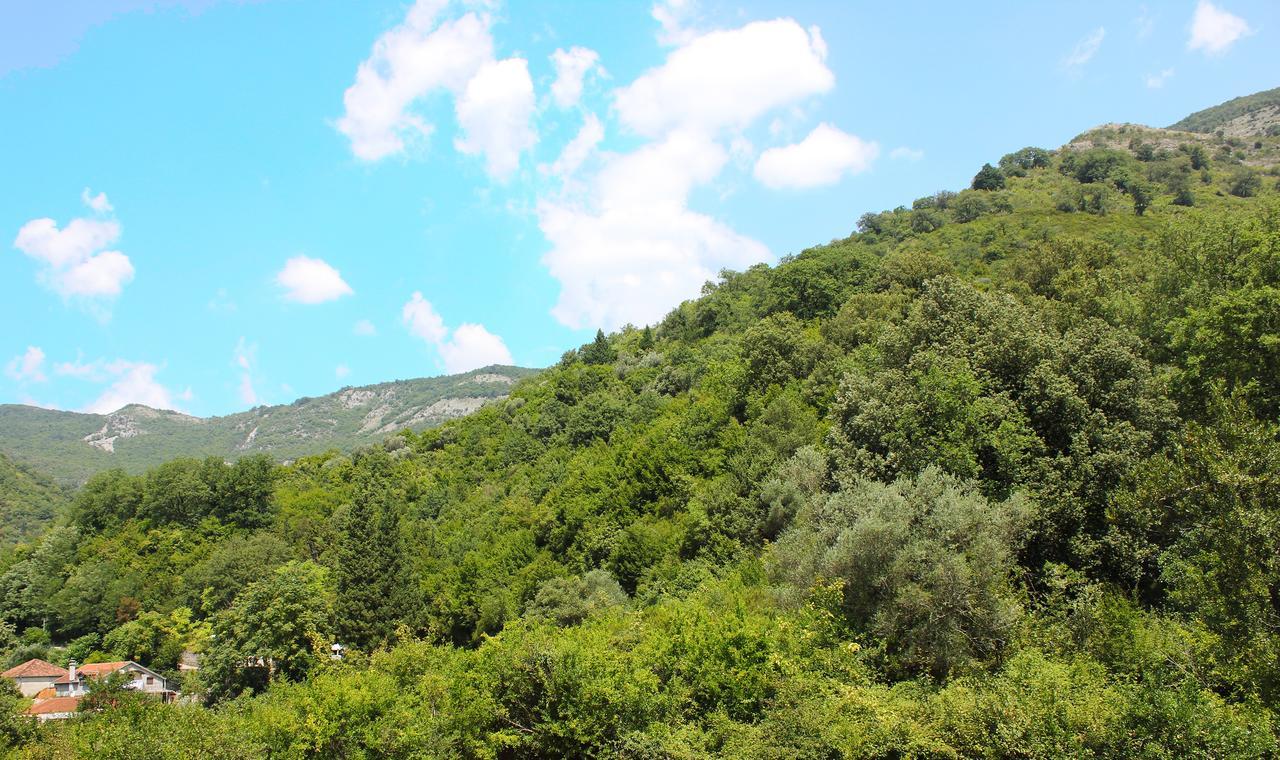 Apartment Bijelavista Herceg Novi Bagian luar foto